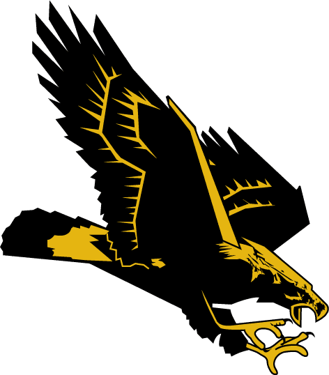 Southern Miss Golden Eagles 1990-2002 Secondary Logo vinyl decal